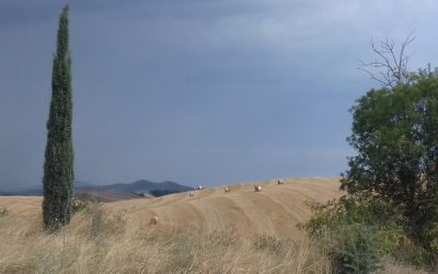 Gestione del Paesaggio e Sviluppo Agricolo